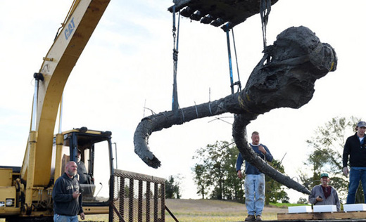 Woolly-mammoth...